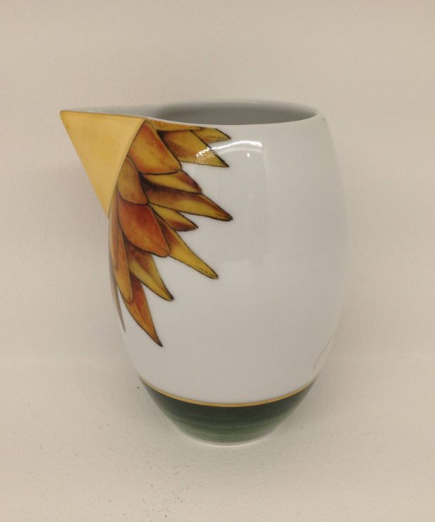 21133058 leiteira domo amazonia