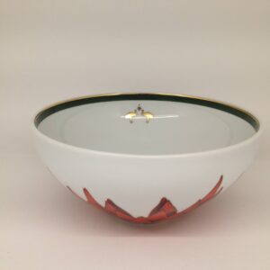 21133544 saladeira 26 modo amazonia