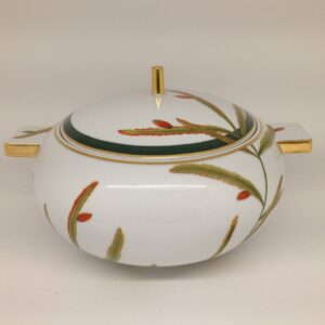 21133548 terrina domo amazonia