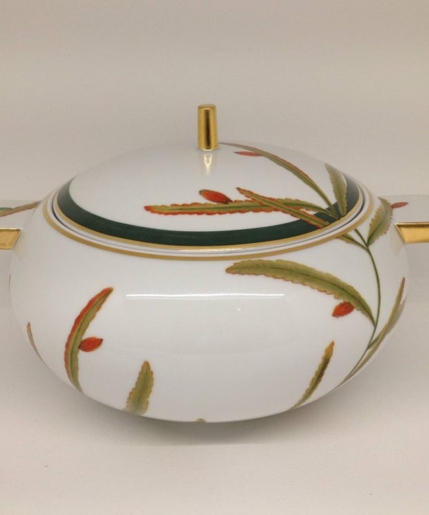 21133548 terrina domo amazonia