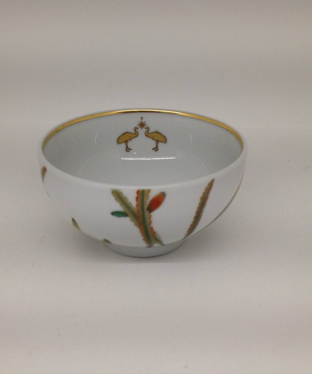 21133551 taça vegetais kyoto amazonia