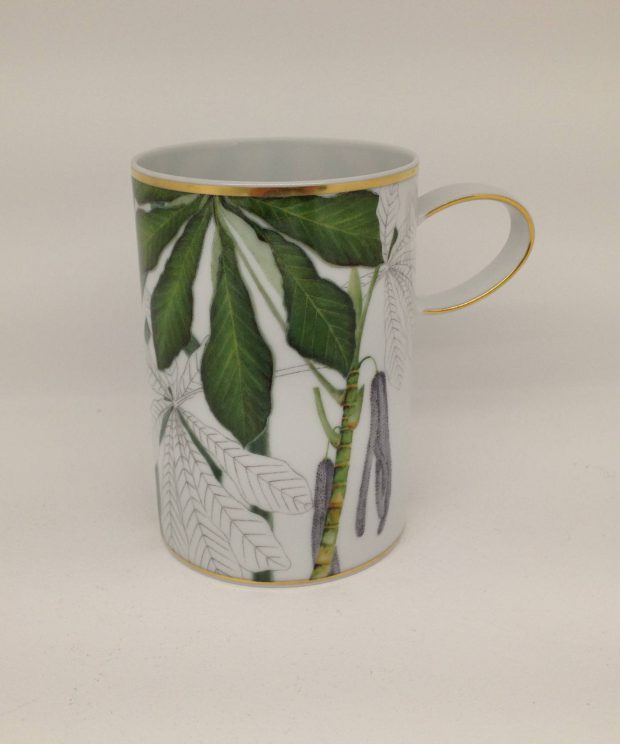 21133556 caneca domo amazonia