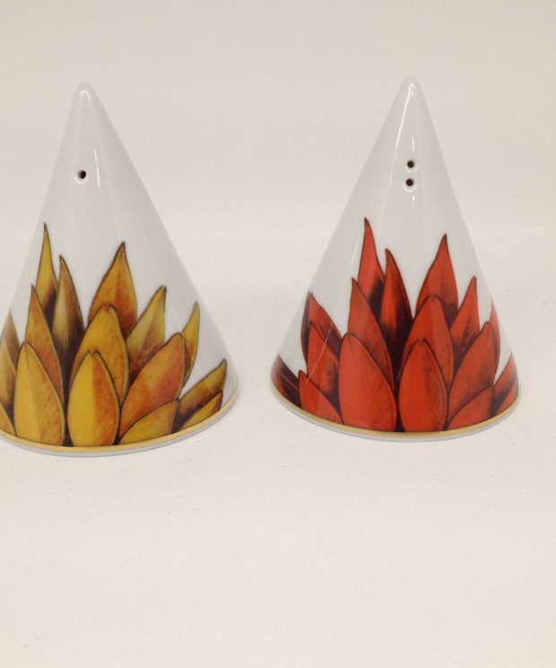 21133611 conj. saleiro/ pimenteiro domo amazonia