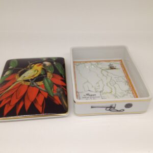 Caixa baralho cartas esc. amazonia