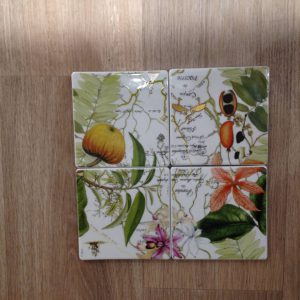 21133686 conj. 4 bases p/copos amazonia