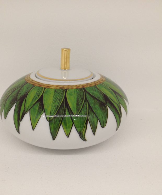 21133057 açucareiro domo amazonia